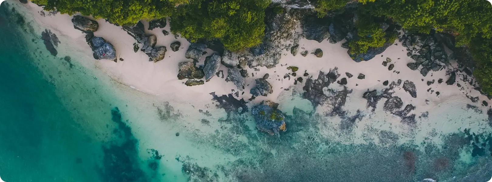 Investment Bali